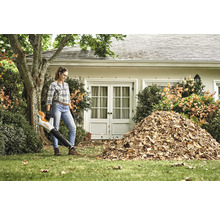 Frau benutzt einen Laubbläser, um einen Laubhaufen auf einem Rasen zu bewegen.