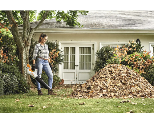 Frau benutzt einen Laubbläser, um einen Laubhaufen auf einem Rasen zu bewegen.