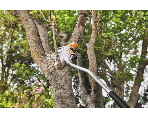 Akku-Hochentaster beim Beschneiden eines Astes