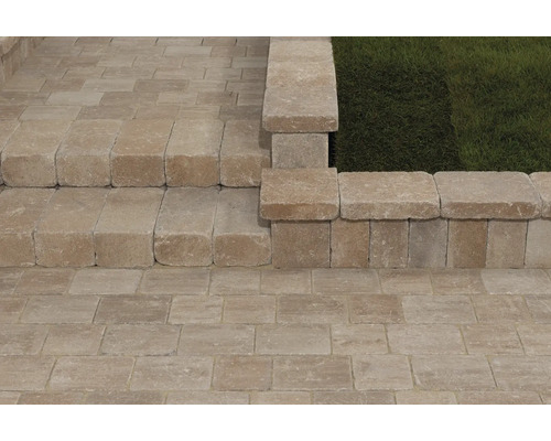 Gepflasterter Weg mit Treppe und Rasenfläche