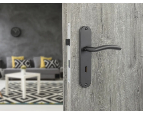 Innentür mit schwarzer Türklinke und Schlosskasten in modernem Wohnraum