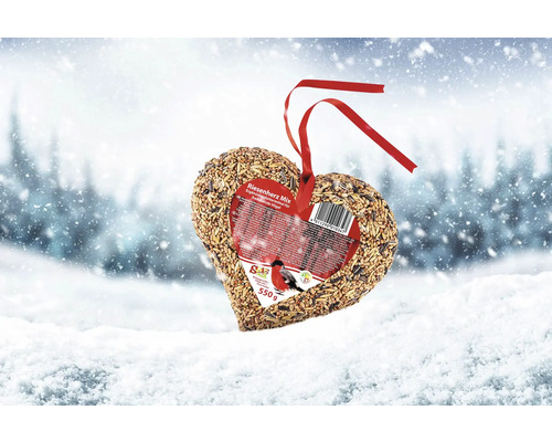 Herzförmiges Vogelfutter mit rotem Band zum Aufhängen