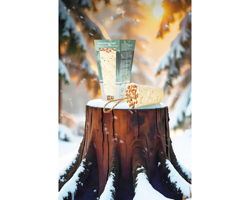 Erdnussbutterriegel und Verpackung für Wildvögel auf Baumstumpf im Schnee