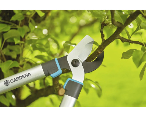 Gartenschere schneidet einen Ast