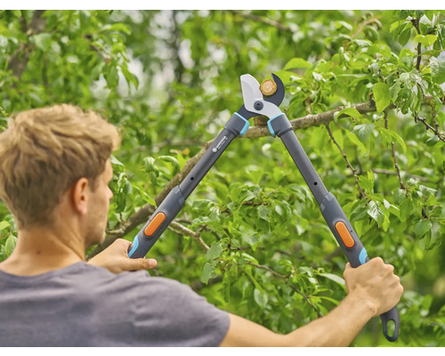 Mann schneidet Äste mit einer Gartenschere