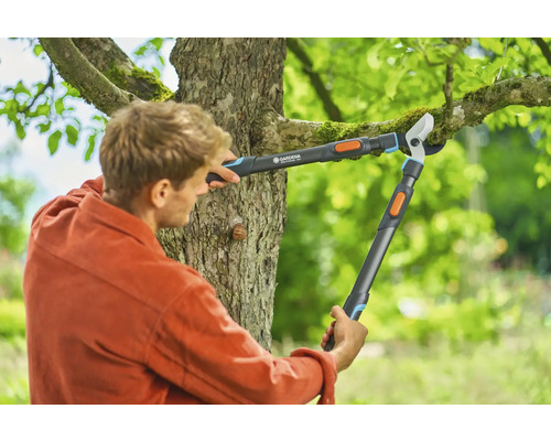 Mann schneidet Baumäste mit einer Gartenschere.