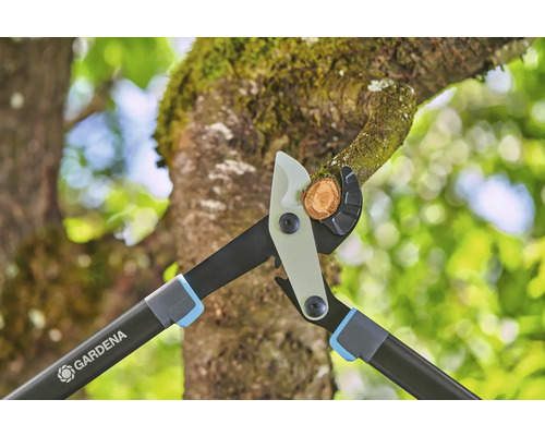 Gardena Astschere schneidet einen Ast