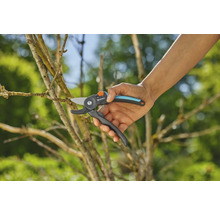 Gartenschere im Einsatz zum Beschneiden eines Astes