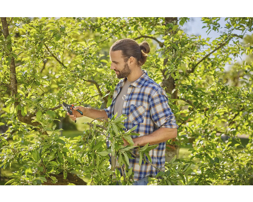 Mann schneidet Baum mit einer Gartenschere