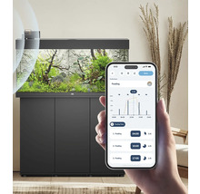 Aquarium mit Unterschrank und Hand mit Smartphone zur Futterplanung