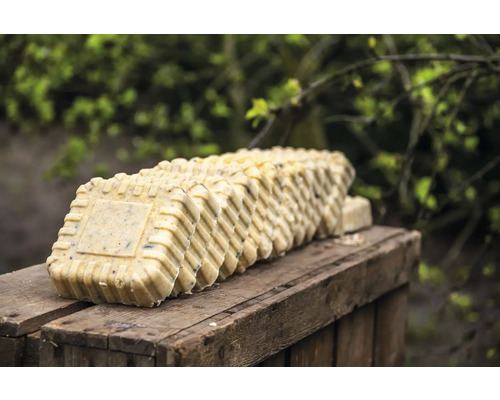 Reihe von quadratischen Vogelfutterblöcken auf einer Holzoberfläche