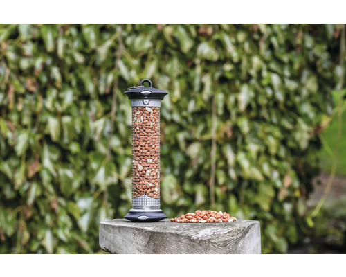 Vogelhaus gefüllt mit Erdnüssen auf einem Steinsockel