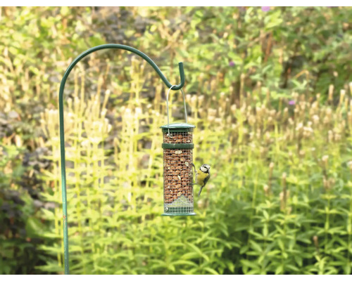 Vogelhäuschen gefüllt mit Futter an einem Haken mit einer Blaumeise