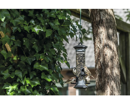 Vogelfutterspender mit Futter und Vögeln, aufgehängt an einem Baum.