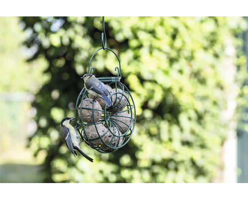 Vogelhaus mit Meisenknödeln und Vögeln