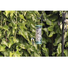 Vogelfutterspender mit Samen und Vögeln an einem Haken