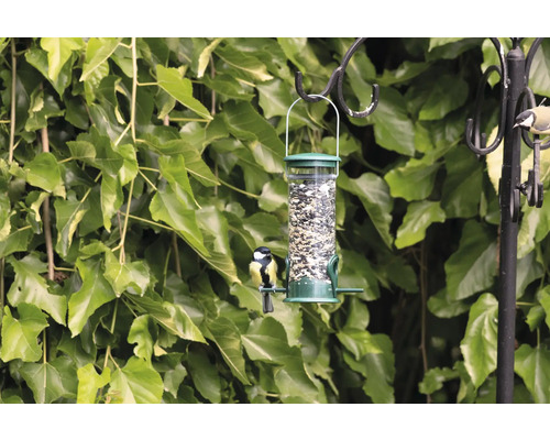 Vogelfutterspender mit Samen und Vögeln an einem Haken