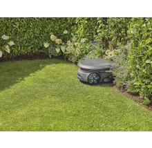 Rasenmähroboter auf Rasenfläche neben Büschen und Blumen