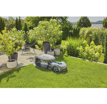 Szene mit Gardena Mähroboter auf Rasenfläche, im Hintergrund Pflanzen und Sträucher.