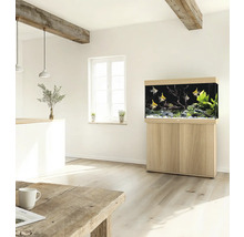 Eingerichtetes Aquarium mit Unterschrank in einem hellen Wohnraum.