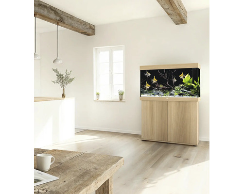 Eingerichtetes Aquarium mit Unterschrank in einem hellen Wohnraum.