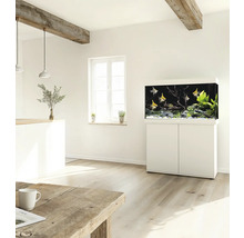 Wohnraum mit Aquarium auf einem Schrank und Fischen