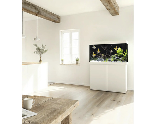 Wohnraum mit Aquarium auf einem Schrank und Fischen