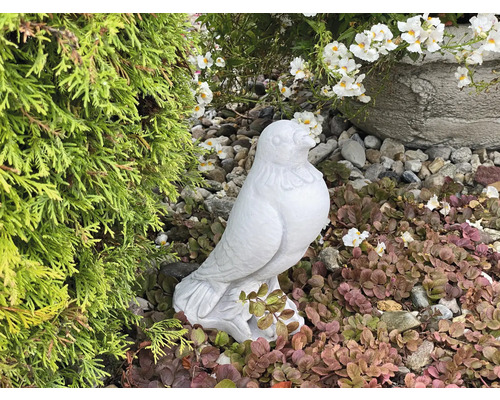 Garten Szene mit einer Vogelstatue aus Stein