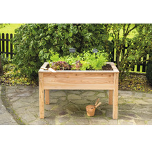 Hochbeet aus Holz mit Salat und Kräutern im Garten