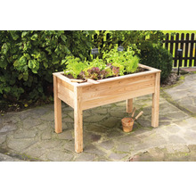 Hochbeet aus Holz mit Salat und Kräutern im Garten