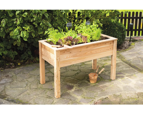 Hochbeet aus Holz mit Salat und Kräutern im Garten