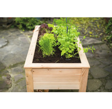 Hochbeet aus Holz mit verschiedenen Kräutern und Salat