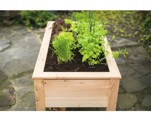 Hochbeet aus Holz mit verschiedenen Kräutern und Salat