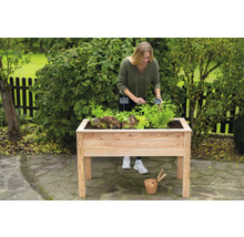 Frau gärtnert in einem Hochbeet aus Holz im Garten.