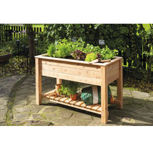 Hochbeet aus Holz mit Kräutern und Gemüse im Garten.