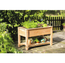 Hochbeet aus Holz mit Pflanzen im Garten