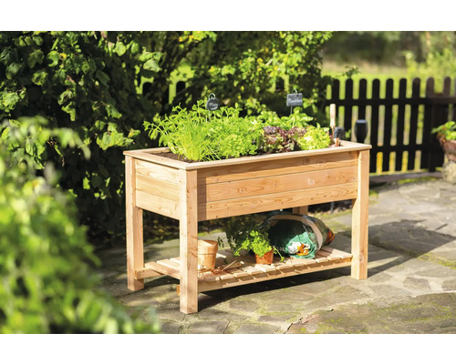 Hochbeet aus Holz mit Pflanzen im Garten