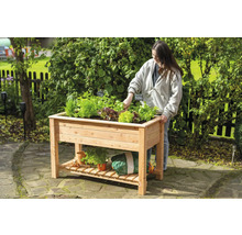 Frau gärtnert in einem Hochbeet aus Holz mit Kräutern und Salat im Garten