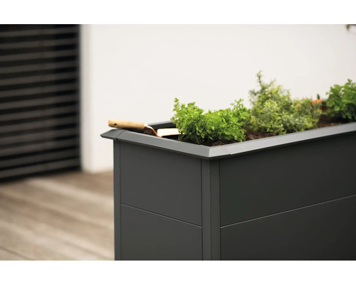 Hochbeet mit Pflanzen und Schaufel
