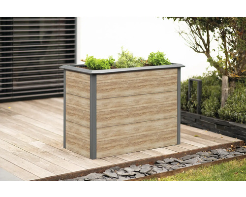 Hochbeet klassisch WESTMANN Primus-Multi inkl. Schneckenschutz Gr. M 100 x 50 x 77 cm Holzoptik Holzoptik Pflanzkasten im Außenbereich mit Pflanzen