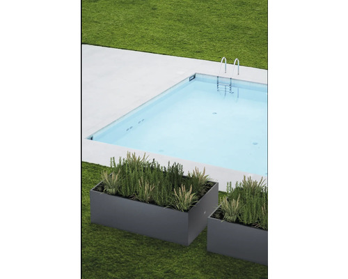 Schwimmbad mit Pflanzen in Pflanzkästen