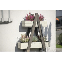 Holzleiterregal mit bepflanzten Blumenkästen an einer Hauswand