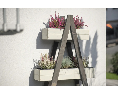 Holzleiterregal mit bepflanzten Blumenkästen an einer Hauswand