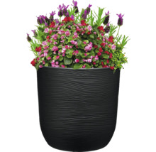 Blumentopf mit Bepflanzung aus Lavendel und Begonien