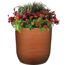 Blumentopf mit Bepflanzung