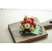 Erdbeeren mit Blüte auf Holzbrett