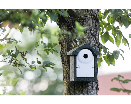 Vogelhaus am Baum mit Meise