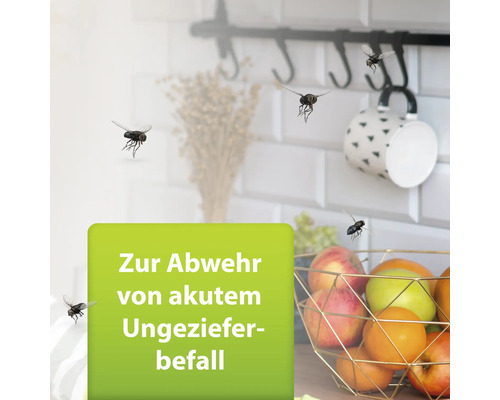 Produkt zur Abwehr von akutem Ungezieferbefall in der Küche
