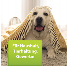 Heller Hund mit Decke für Haushalt, Tierhaltung, Gewerbe