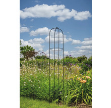 Pflanzenstütze aus Metall im Garten mit Blumen und blauem Himmel